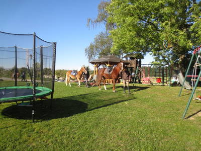 Bild 14 aus  Ferienhof Kießling