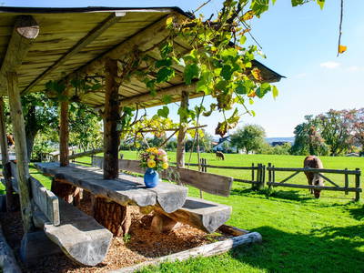 Bild 6 aus  Pension Baarblick