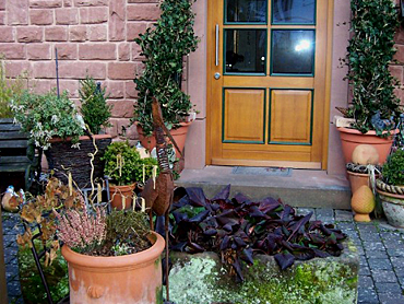 Bild 4 aus  Haus Wiesengrund