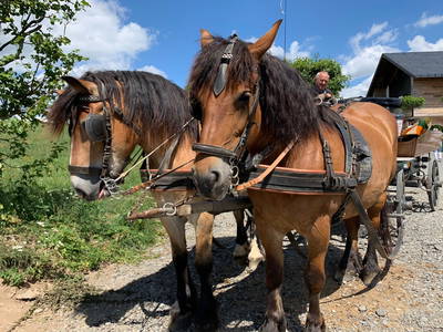 Bild 77 aus  LandSelection Ferienhof Zur Hasenkammer
