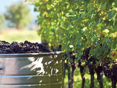 Bild 25 aus  Brunnenhof Hiss