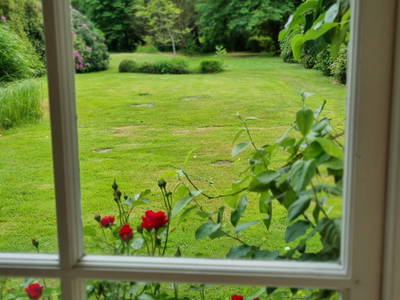Blick in den Garten