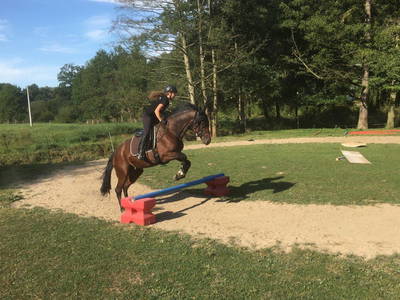 Bild 13 aus  Steinermühle