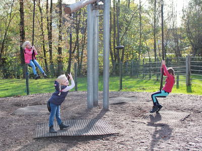 Bild 7 aus  Ponyhof Meier