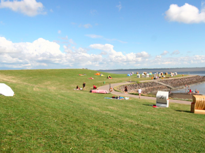 Bild 39 aus  Ferienhof Peter -  Ponys - streicheln, striegeln, füttern  -  Wattwanderungen + ganz viel Nordsee