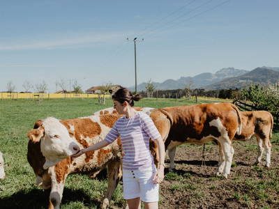 Bild 5 aus  Hainzlmeirhof mit Blick in die Berge