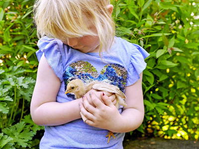 Bild 7 aus  Berndlhof