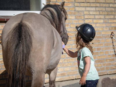 Bild 3 aus  LINDENHOF- BAUERNHOFURLAUB / OSTSEENÄHE