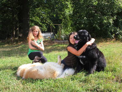 Bild 9 aus  Rumlerhof