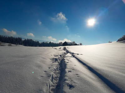 Bild 33 aus  Ferienwohnung Pickenhan