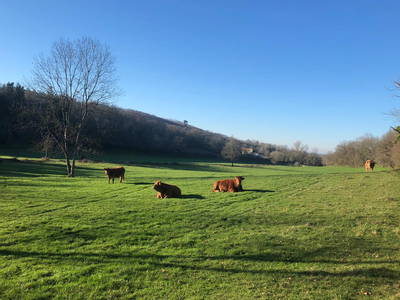 Bild 172 aus  Le Colombié - Ferienhäuser an der Dordogne mieten