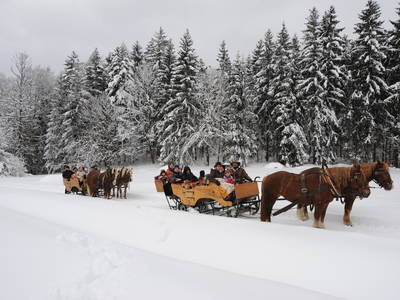 Bild 11 aus  Sammerhof