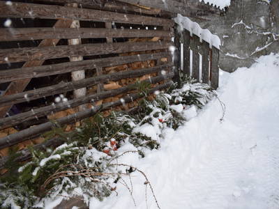 Bild 20 aus  Marschalkhof    Urlaub auf dem Bauernhof