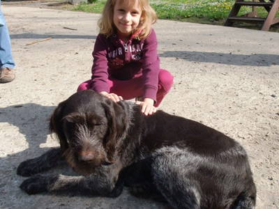 Bild 19 aus  LandSelection Drewes-Hof