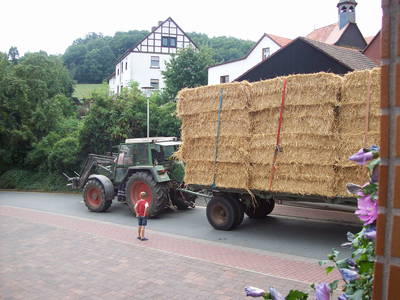 Bild 18 aus  Bauernhof Büchsenschütz