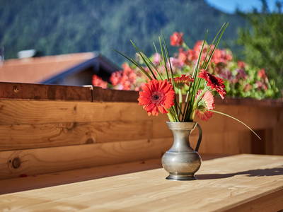 Bild 4 aus  Ferienwohnungen Bergbleamal