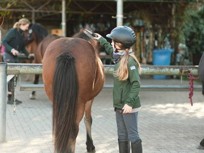 Bild 5 aus  Reiter- und Erlebnisbauernhof Groß Briesen