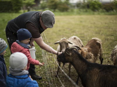 Bild 8 aus  Birkenhof - Ferienhof, Landcafé & Rösterei