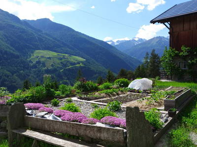 Bild 13 aus  Rieplechnhof