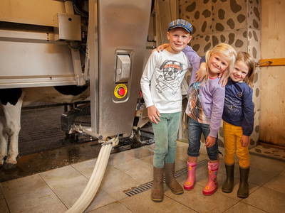 Zuschauen beim melken mit dem Roboter