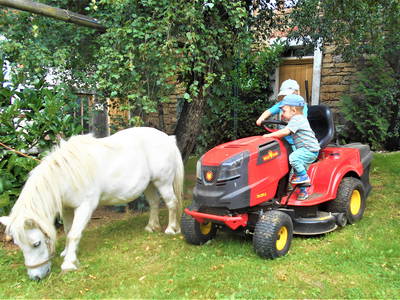 Bild 15 aus  Ferienbauernhof    "Pension Landhof "