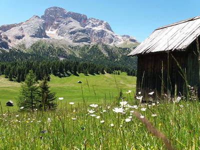 Bild 33 aus  Bruggerhof