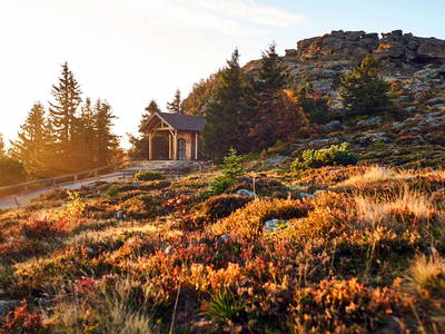 Bild 28 aus  Arber Lofts