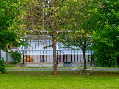 Bild 39 aus  Gut Hornegg