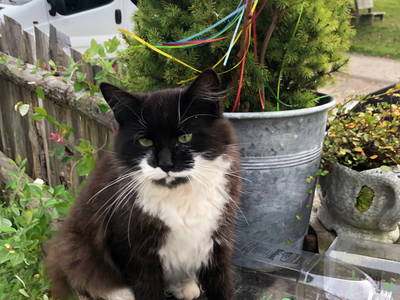 Bild 29 aus  Ferienwohnungen Beim Danner