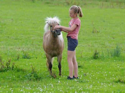 Bild 13 aus  Ferienhof Moosreiten