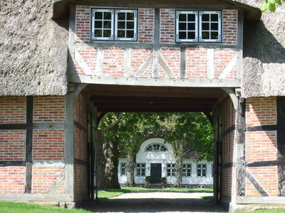 Bild 27 aus  Exklusiver Entenstall