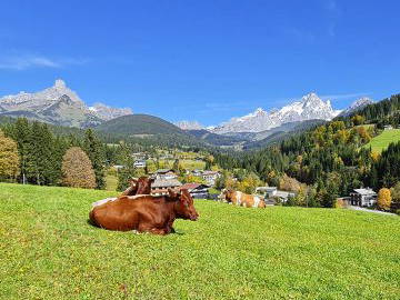 Bild 4 aus  Mittersteghof