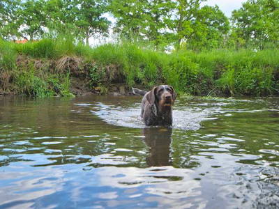 Bild 20 aus  LandSelection Drewes-Hof