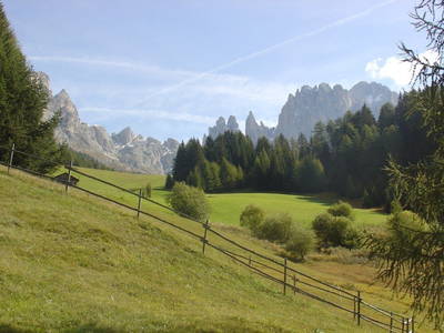 Bild 38 aus  Wieserhof