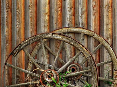 Bild 18 aus  Historische Schäferei