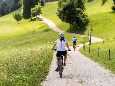 Bild 10 aus  Residence Alpina