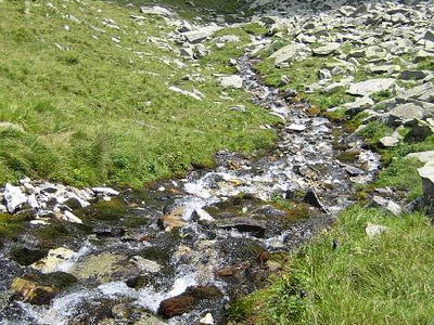 Bild 10 aus  Liebharterhof