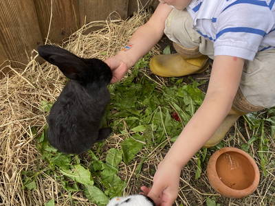 Bild 3 aus  Osterhof Fehmarn - mit Hofladen, Hofprogramm und Ayurveda-Wellness