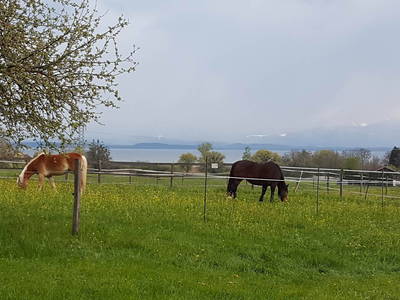 Bild 30 aus  Keilhof