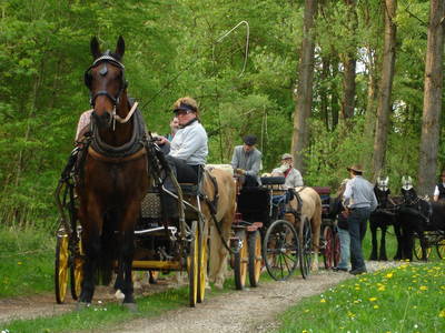 Bild 8 aus  Gut Herrlehof