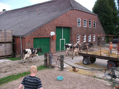 Bild 6 aus  Ommen Ferienhof