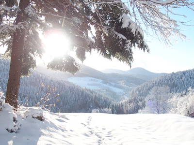 Bild 32 aus  Hirzighof