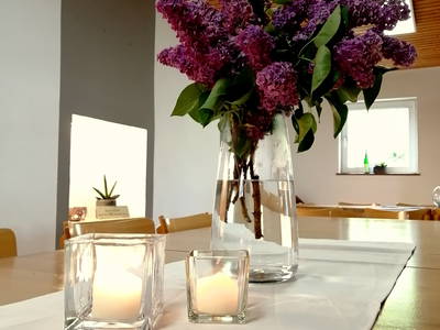 Bild 6 aus  Ferres Weingut