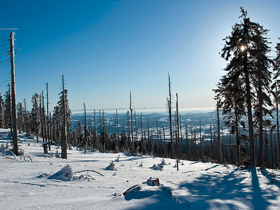 Bild 19 aus  Frongahof