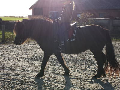 Bild 9 aus  Fredensminde Ferie