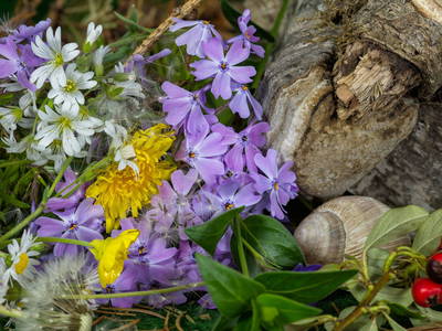 Bild 18 aus  Gästehaus Schmid und Reitzner