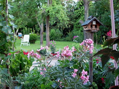 Bild 15 aus  Ferienweingut Willems, Maria Willems