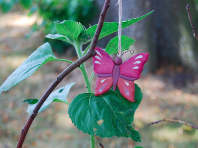 Bild 17 aus  Ahoi Ostsee:  Bauernhof und OstseeUrlaub - Ferienhof Becker in Dahme