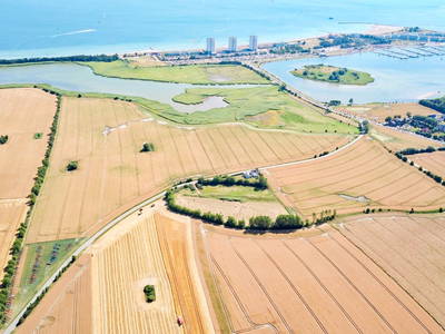 Bild 11 aus  Bauernhof Claussen Fehmarn