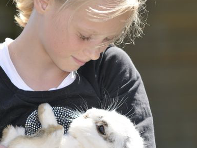 Bild 3 aus  Ferienhof Schmeling